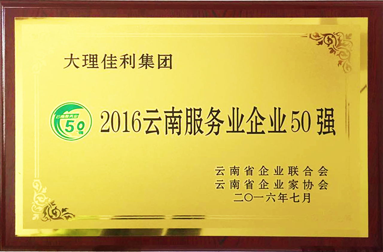 2016年云南服务业50强