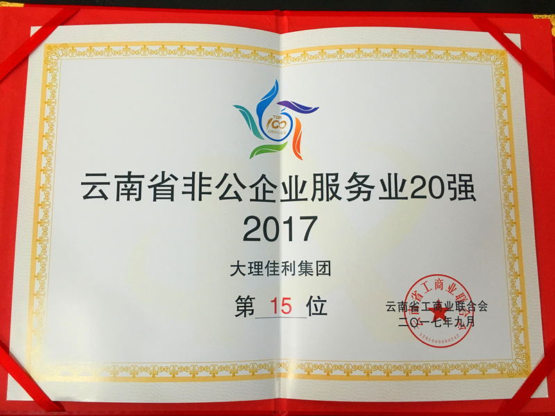2017非公企业服务业20强