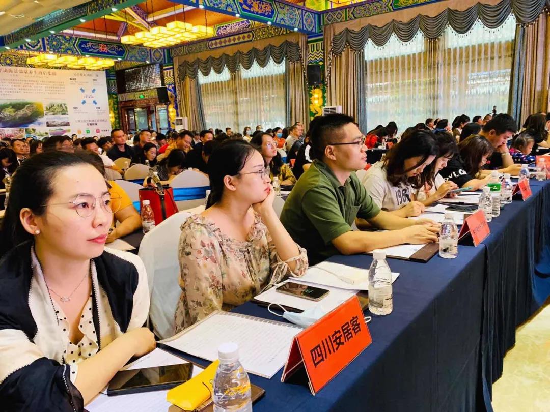 1594625015690574.jpg 1594625015690574.jpg