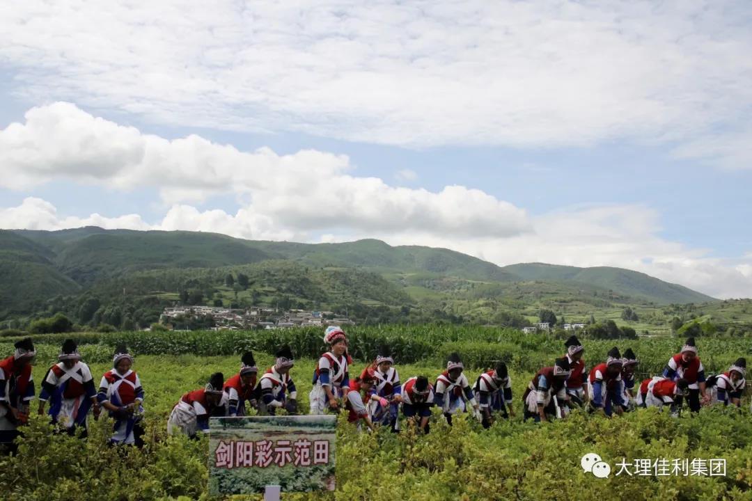 1595985884826382.jpg 1595985884826382.jpg