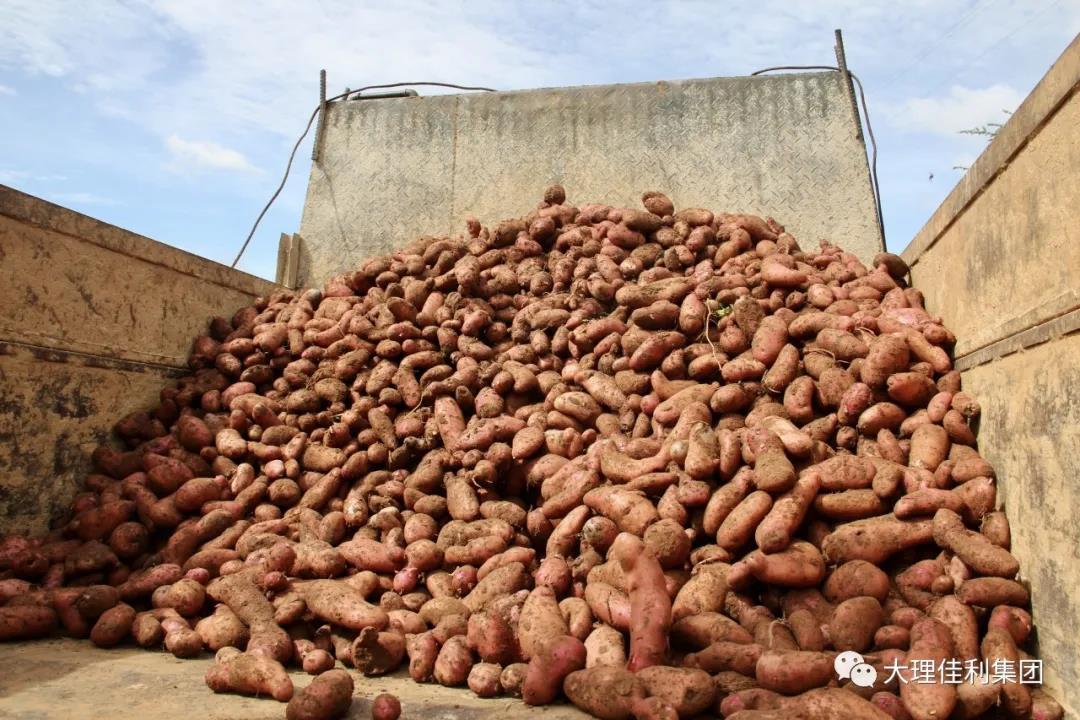 1595985946406951.jpg 1595985946406951.jpg