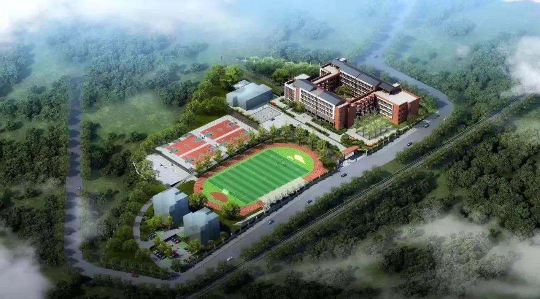 1597105318704817.jpg 1597105318704817.jpg