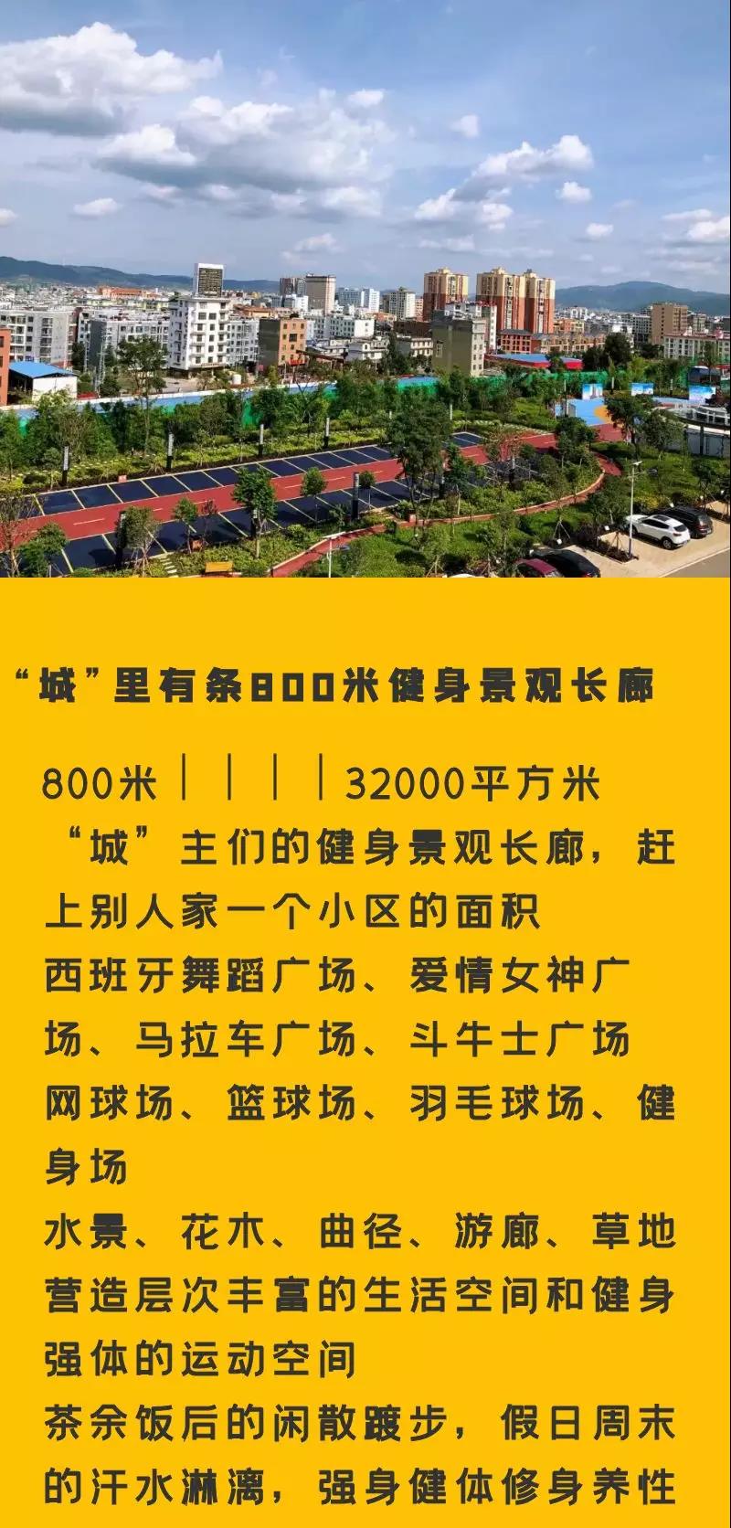 1597105569390427.jpg 1597105569390427.jpg