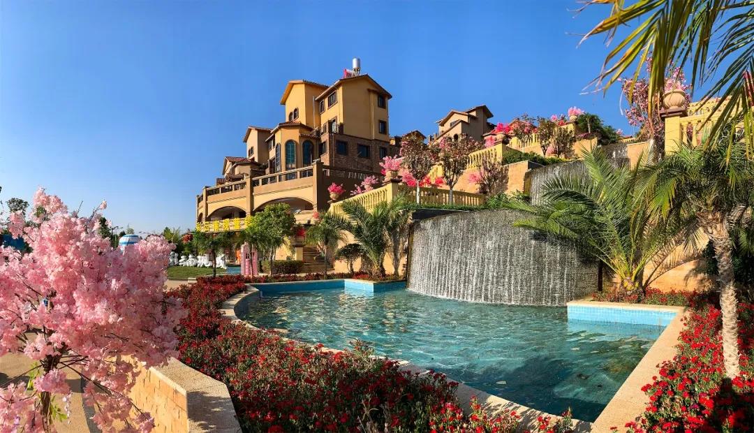 1597105779134594.jpg 1597105779134594.jpg