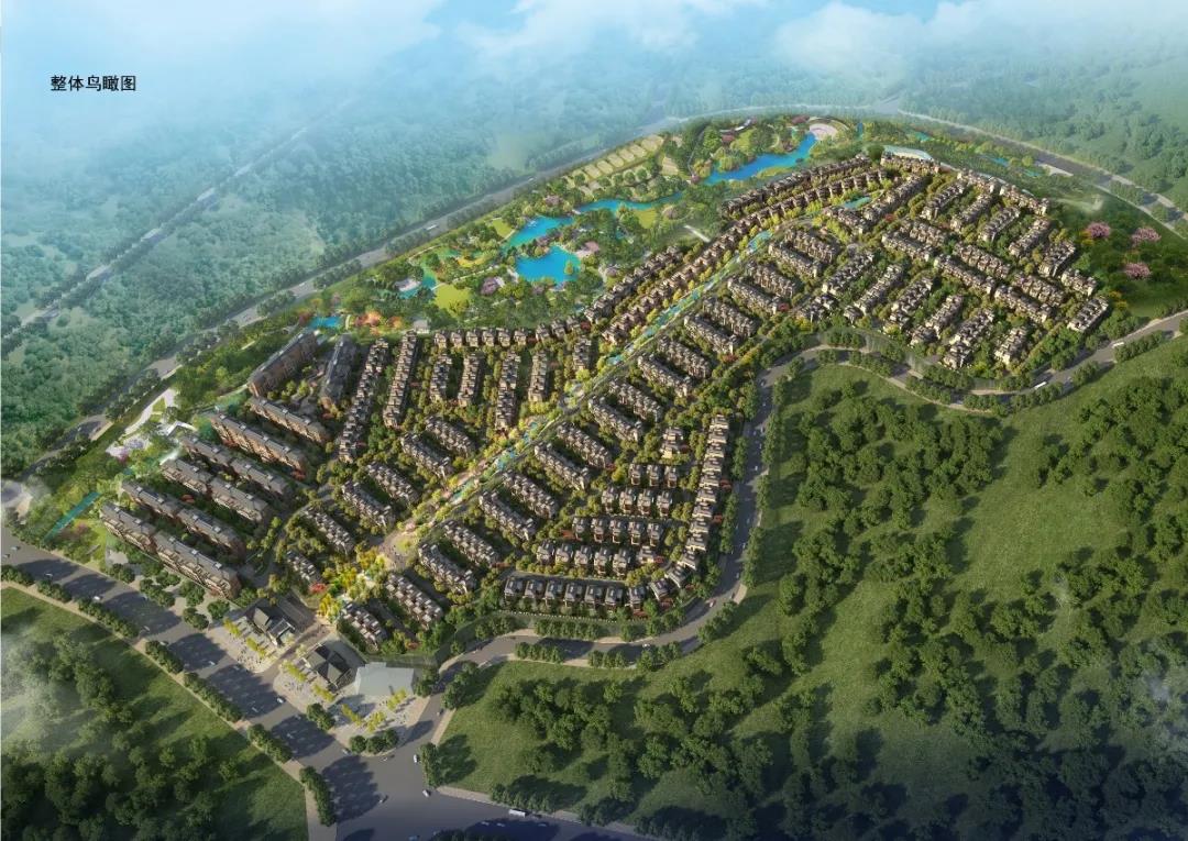 1597733330475199.jpg 1597733330475199.jpg